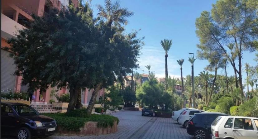 Apartment Marrakech Avec Piscine